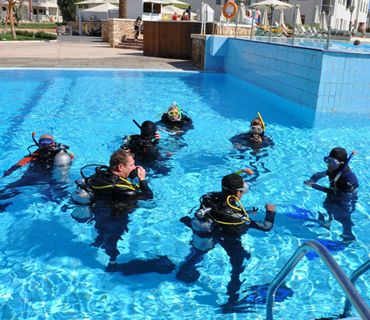 PADI IDC Instructor Course's photos